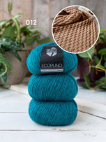 Ecopuno 012