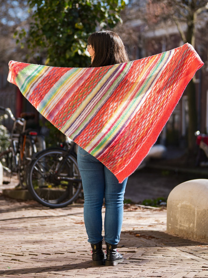 Strickpaket Lizas Tuch New Waves - Gomitolo Ecopuno
