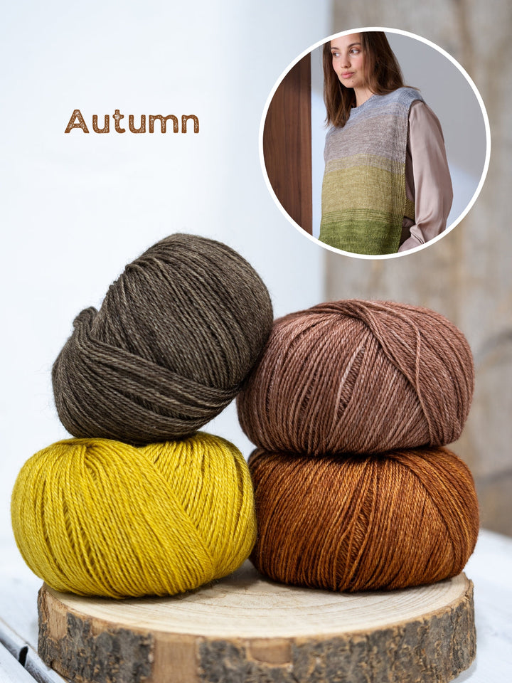 Strickpaket Brigitte Silkdream Slipover