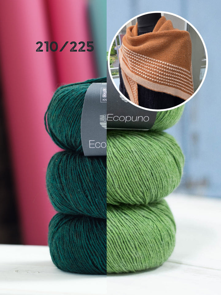 Strickpaket Lizas Tuch Pearly Lines - Ecopuno