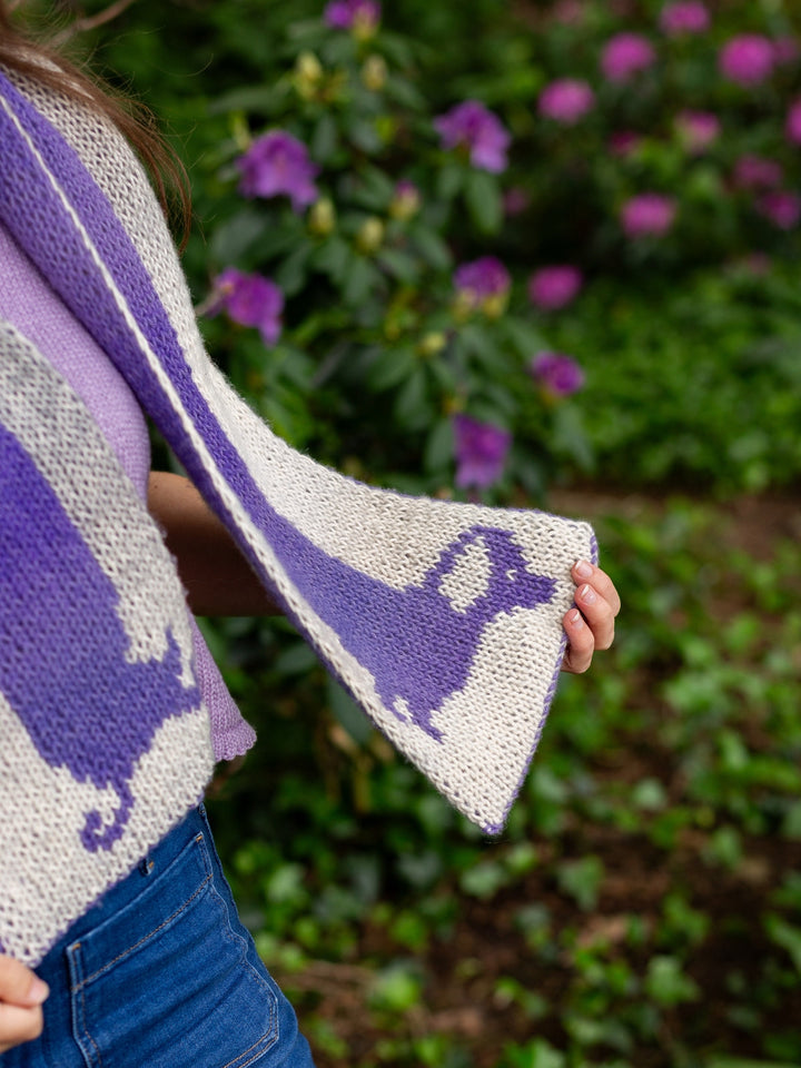 Strickpaket Sausage Dog Scarf Corallo - Devout Hand