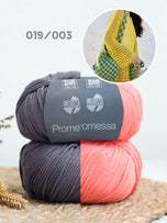 019/003