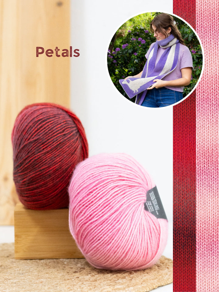 Strickpaket Sausage Dog Scarf Corallo - Devout Hand