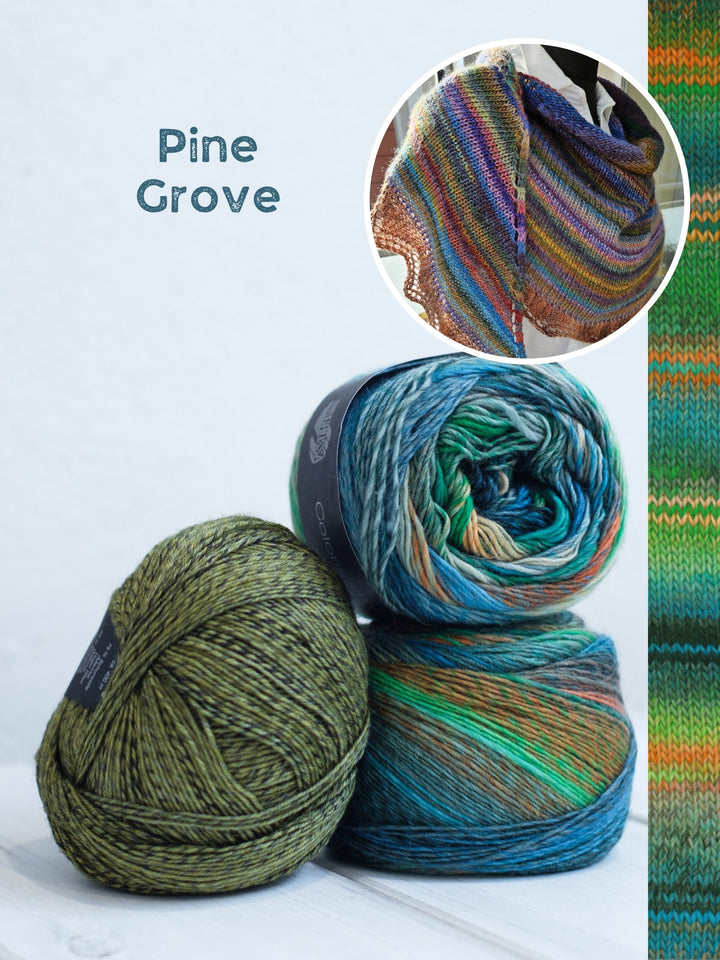 Strickpaket Lizas Tuch Silberfarn - Colorissimo