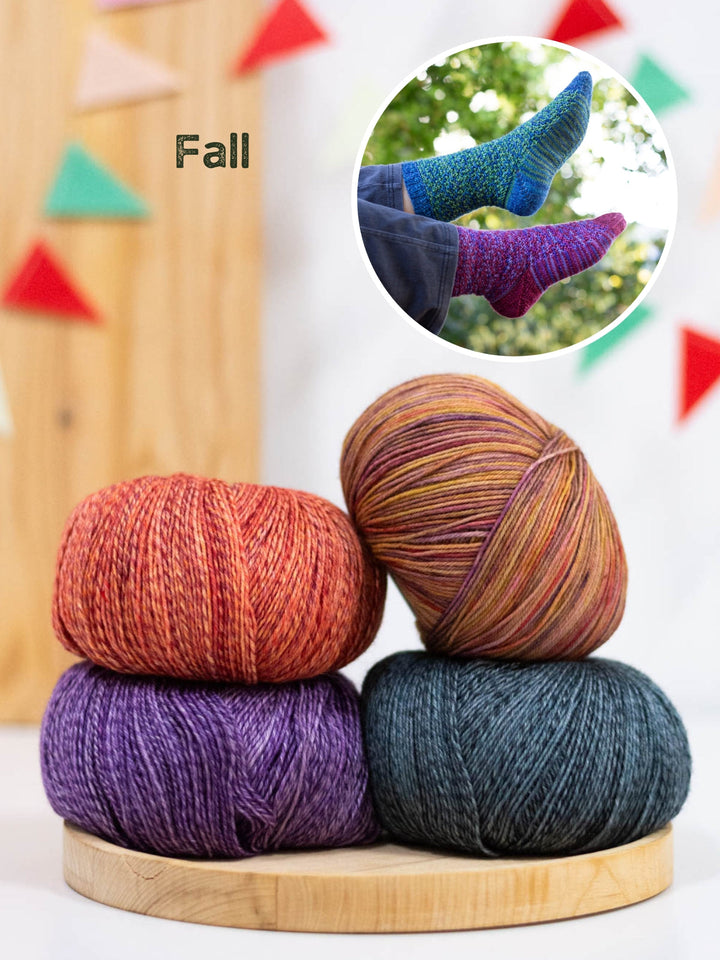 Strickpaket Mosaik Socken - Tanja Steinbach