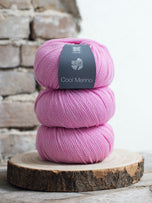 031 Rosa