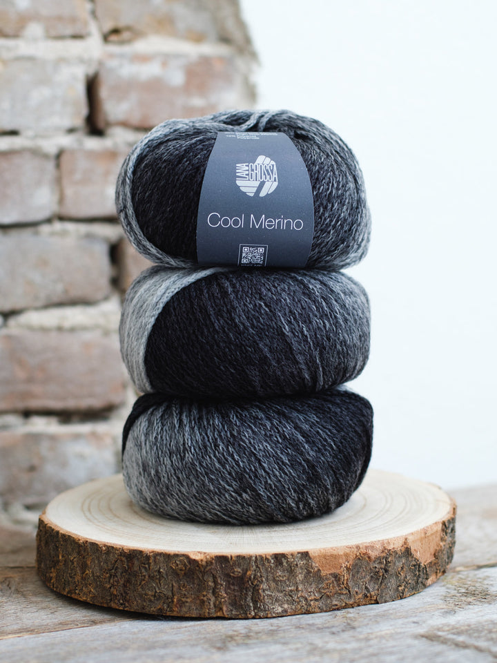 Cool Merino Dégradé 304