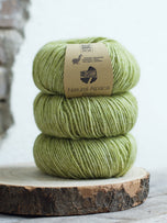 026 Kiwi meliert