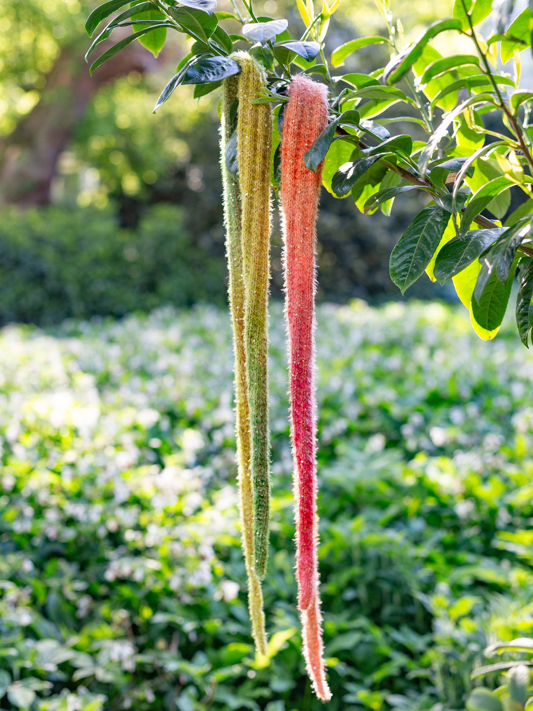 Strickpaket Lucky Sparkle Schals