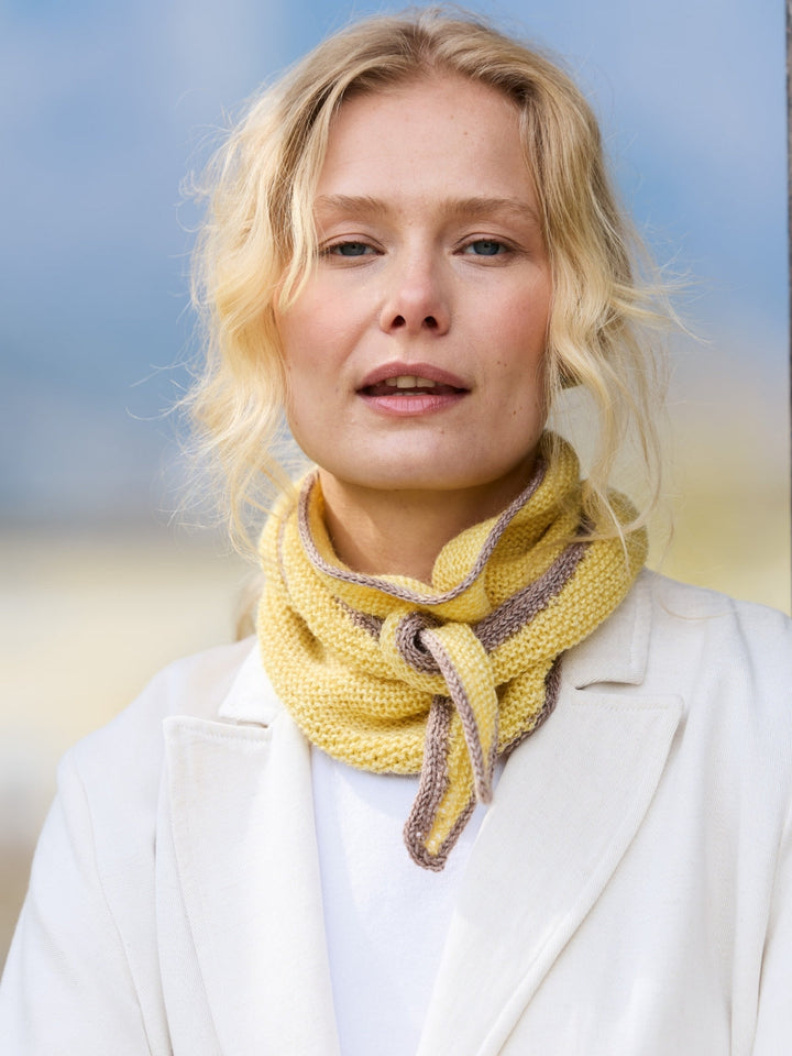 Strickpaket Brigitte Silkdream Schal