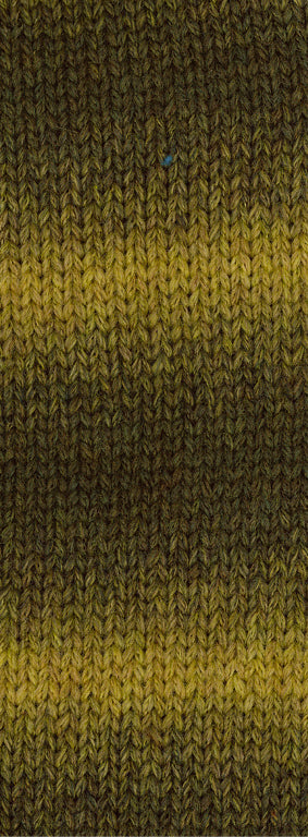 Cool Merino Dégradé 301