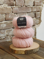 010 Rosa