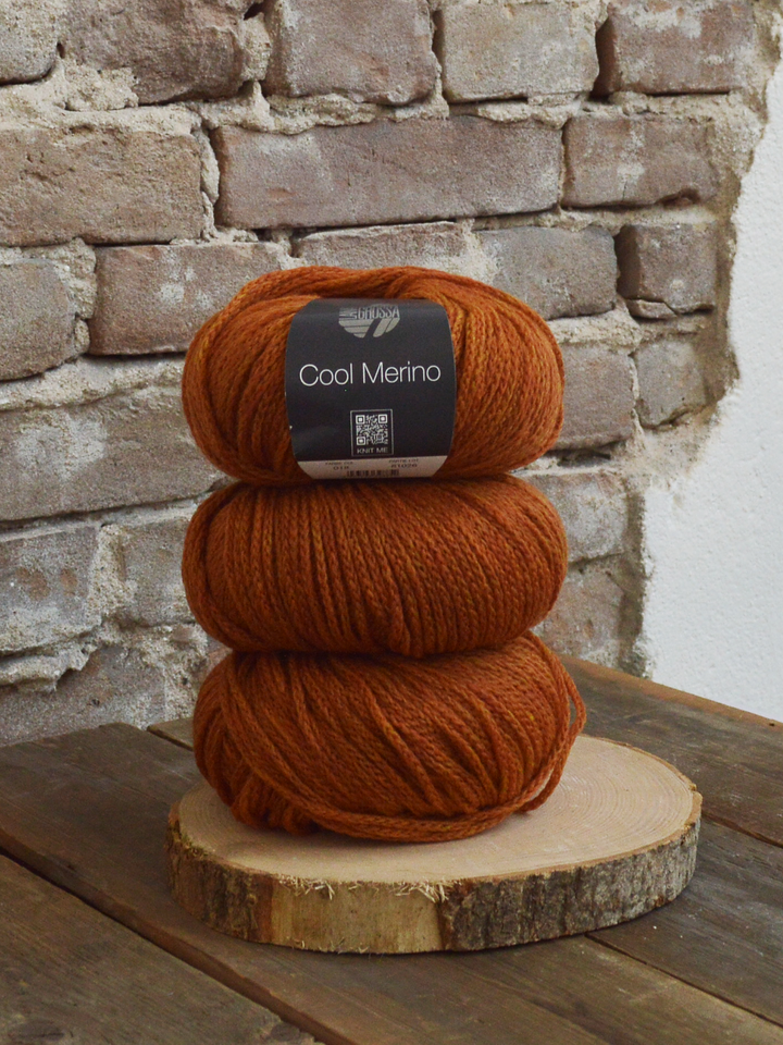 Cool Merino 018 Rost