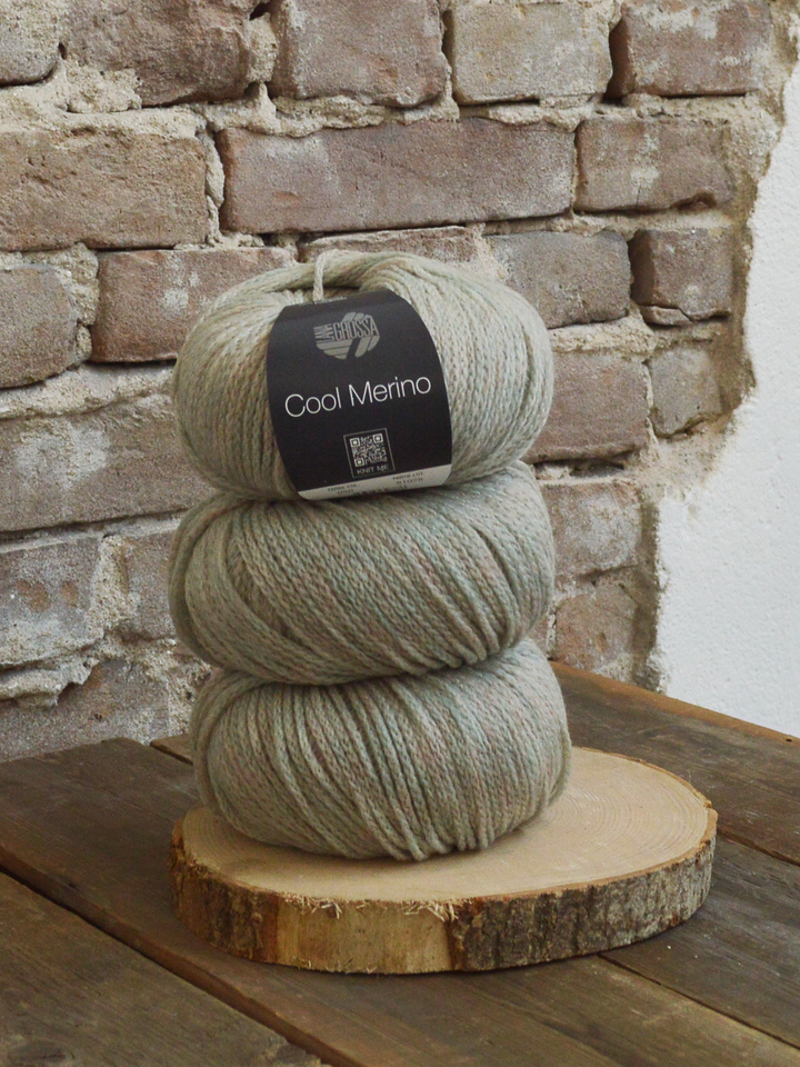 Cool Merino 020 Graubeige