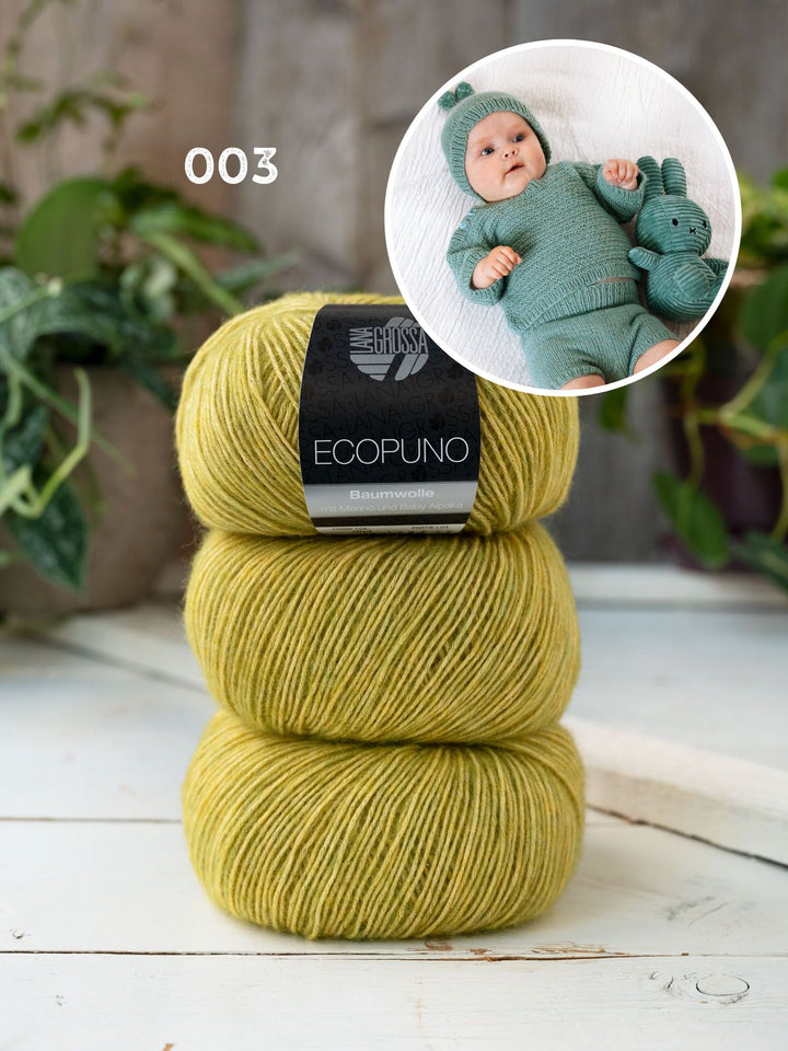 Strickpaket Ecopuno Babyset