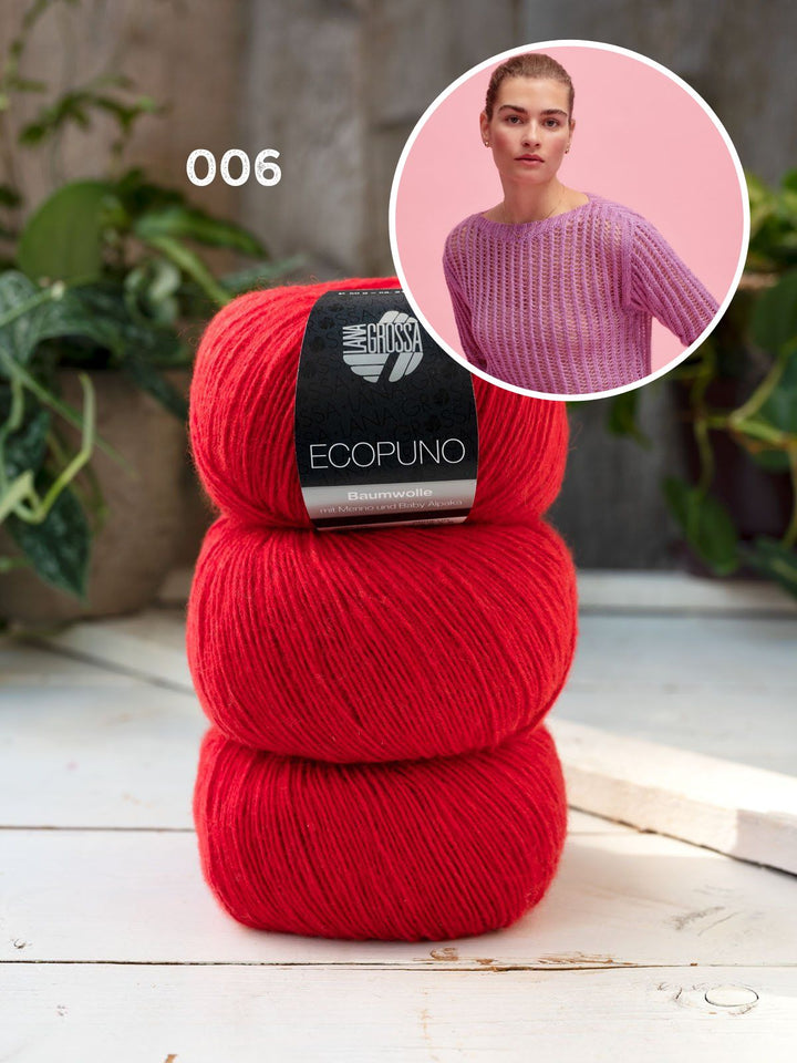 Strickpaket Ecopuno Pullover